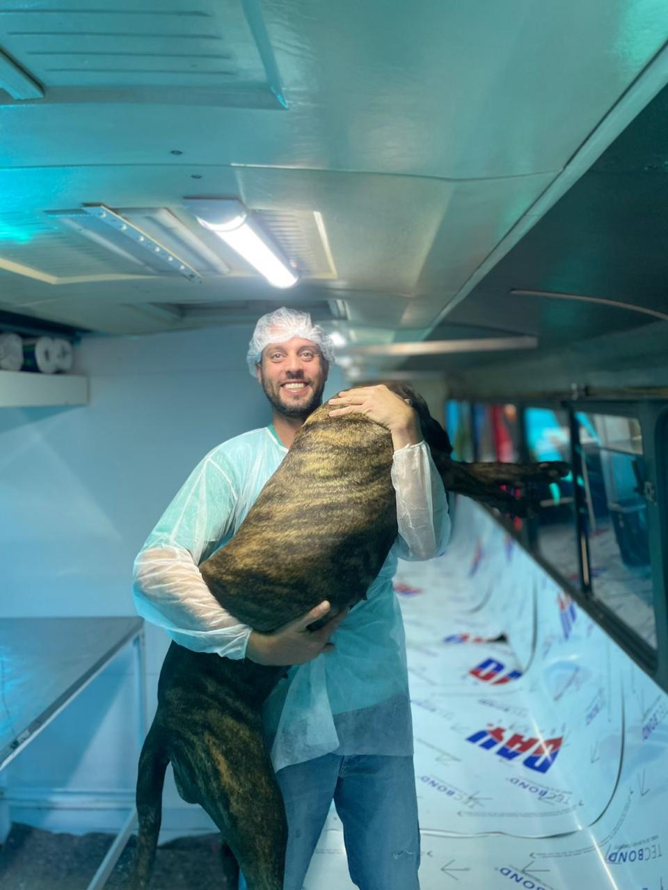 Veterinário em consulta